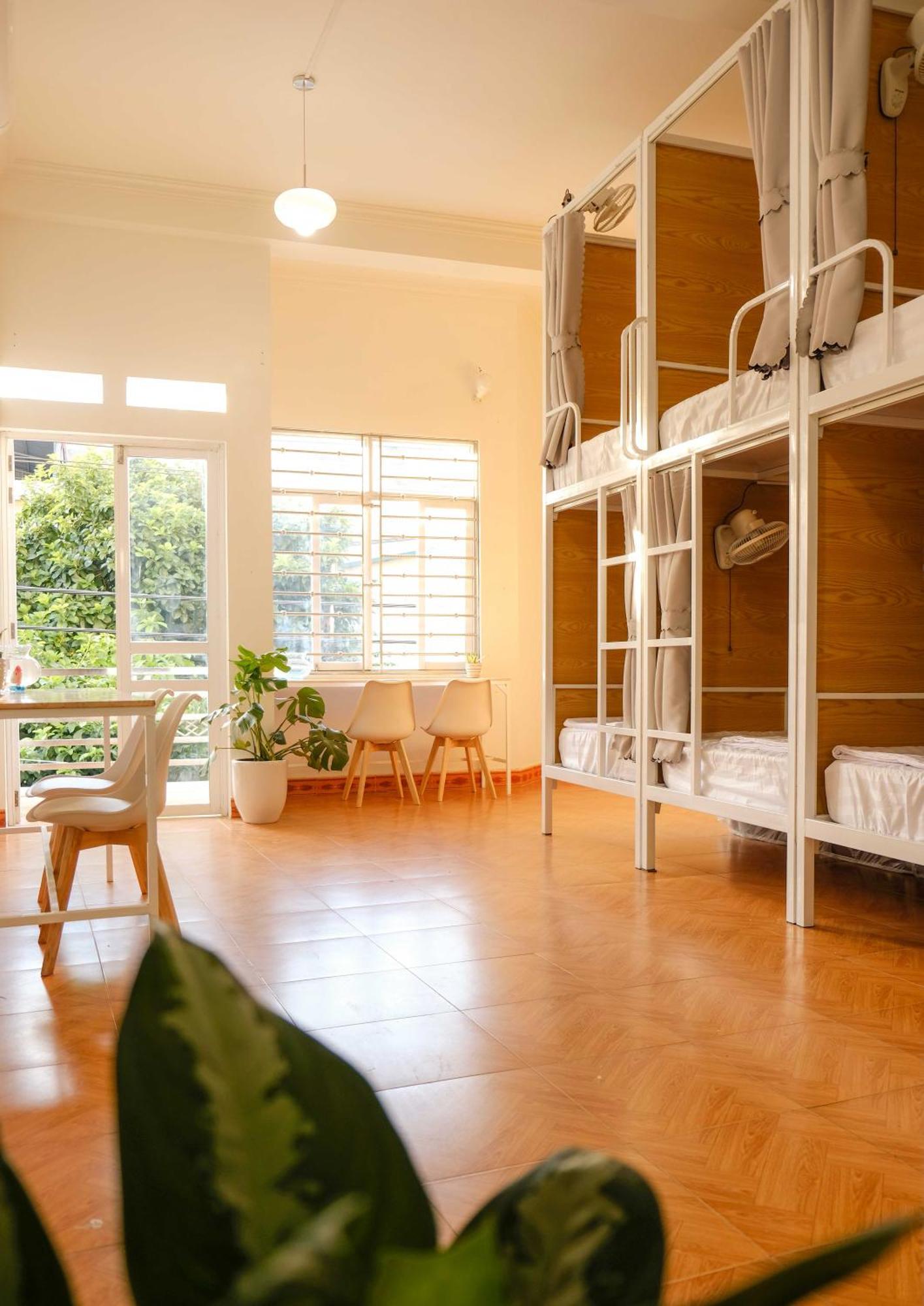 Lazy Cat Homestay - Motorbikes Rental & Tours Hà Giang Zewnętrze zdjęcie