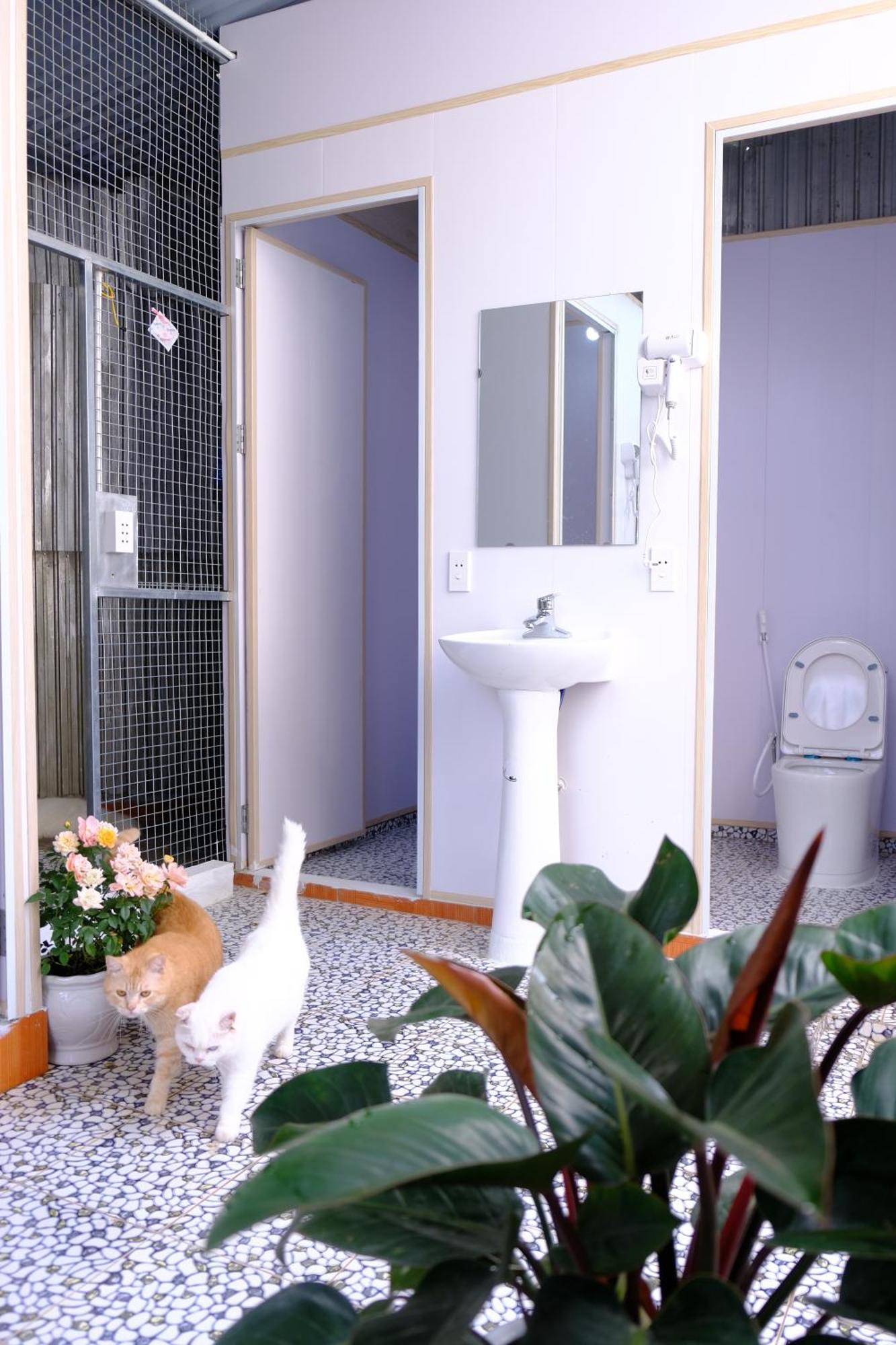 Lazy Cat Homestay - Motorbikes Rental & Tours Hà Giang Zewnętrze zdjęcie